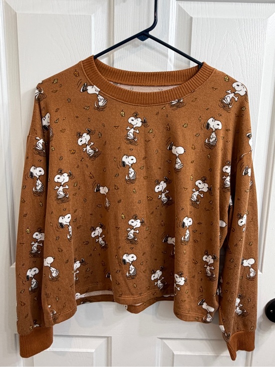 American Eagle Outfitters Other - American Eagle luxe snoopy print pj set